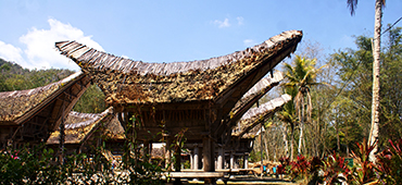 toraja traditional house
